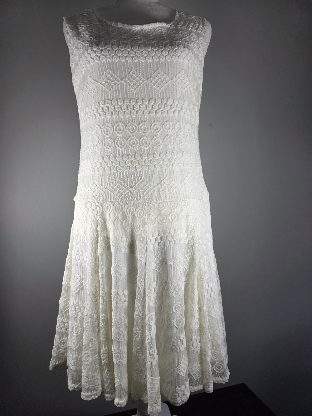 Sharagano Size 12 Ivory Lace Fit & Flare Dress Sleeveless